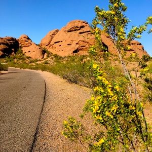 Meet your Posher, Tara